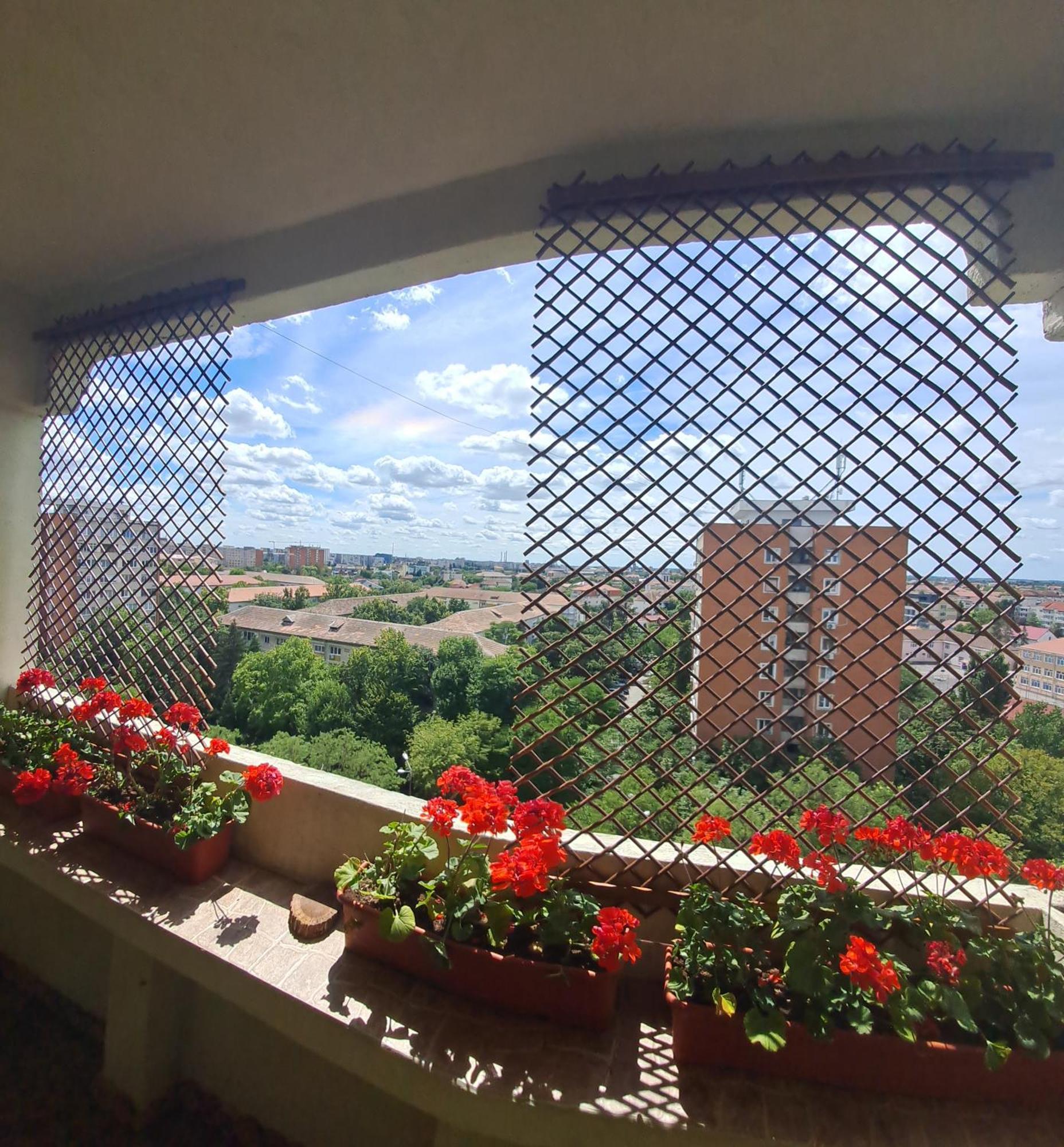 Happy Station Apartment Тимишоара Стая снимка